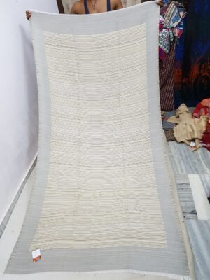 Check Lining with border Shawl